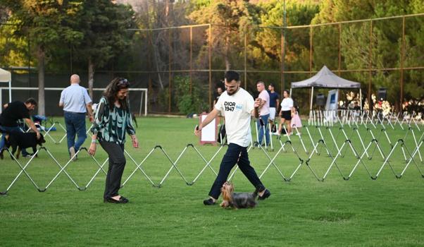 Kuşadası'nda 'İnternational Dog Show' başladı