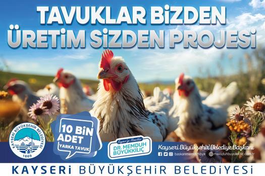 Büyükşehir Belediyesi kadın üreticilere 10 bin tavuk dağıtacak