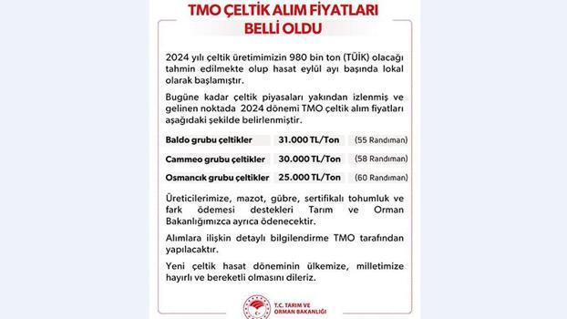 TMO çeltik alım fiyatları belirlendi