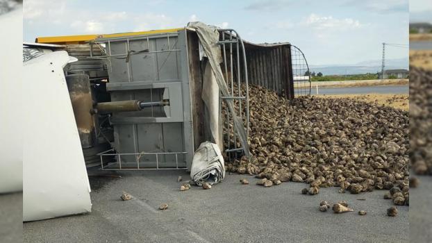 Malatya'da pancar yüklü kamyon devrildi: 2 yaralı