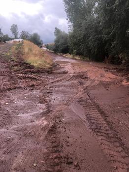 Ahlat'ta sağanak sele neden oldu