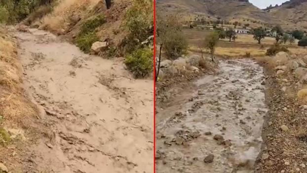 Elazığ’da sağanak ve dolu kayısı bahçelerine zarar verdi