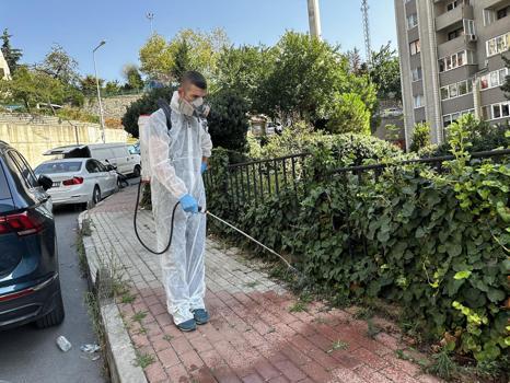 Kağıthane’de haşere ve sinek türlerine karşı ilaçlama yapılıyor