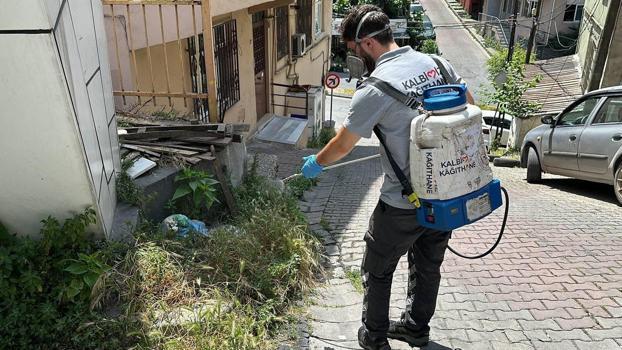 Kağıthane’de haşere ve sinek türlerine karşı ilaçlama yapılıyor