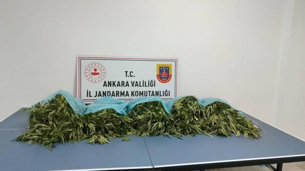 Ankara'da 25 kilo esrar ele geçirildi