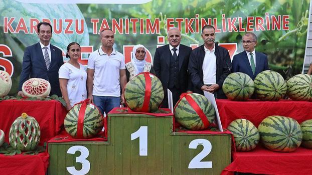 Diyarbakır'da 72 yaşındaki üreticinin 48 kilo 700 gramlık karpuzu, yarışmada 1'inci seçildi