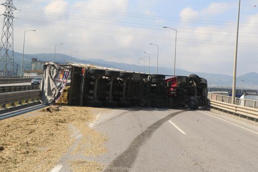 Sürücüsünün arı sokan TIR, devrildi