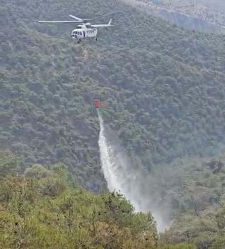 Manisa'daki orman yangını 2'nci gününde (2)