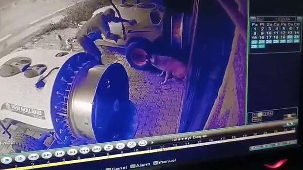 Sokak köpeğini sopayla öldürdü; o anlar kamerada