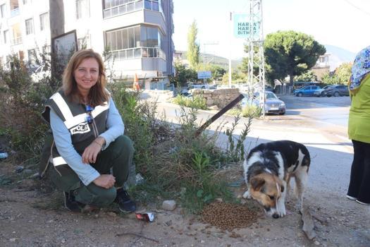 Hatay’da sahipsiz hayvanlara jandarma şefkati