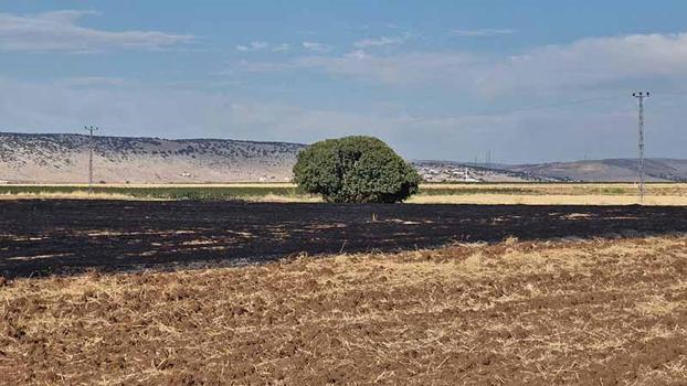 Diyarbakır'da anız yangınında 70 dönümlük arazi zarar gördü