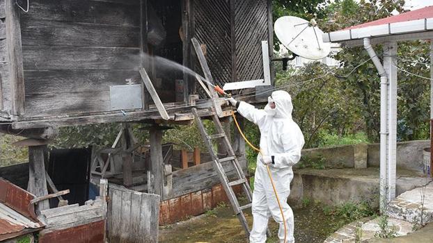 Ordu’da kahverengi kokarcaya karşı 200 bin noktada ilaçlama