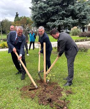 5 bininci Yomra elması fidanı toprakla buluştu