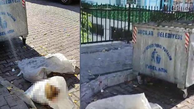 Avcılar’da çuval içinde çöpe atılmış 2 ölü köpek bulundu