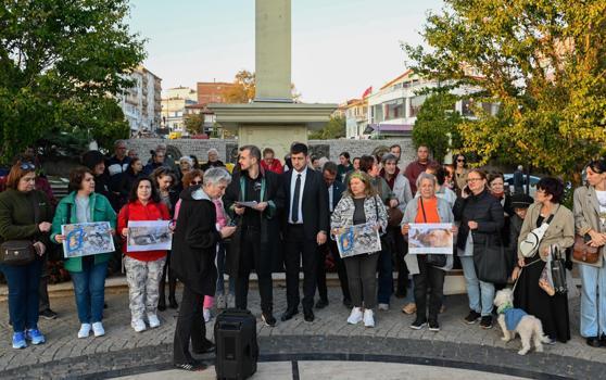 Kırklareli'nde barınakta 17 kedi ve köpek öldü; adli, idari soruşturma başlatıldı (3)