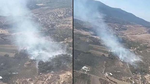 İzmir'de orman yangını