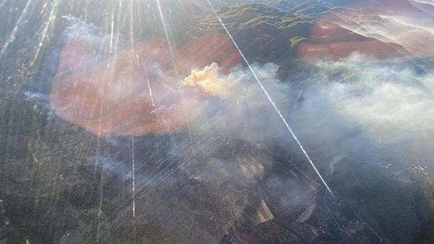 Muğla'nın 3 ilçesinde orman yangını; alevlere müdahale sürüyor