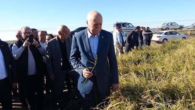 TZOB Genel Başkanı Bayraktar: Biga'da 45 bin dekar alanda zarar görünüyor