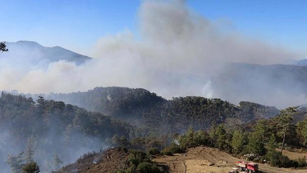 Muğla'nın 2 ilçesinde orman yangınlarına müdahale sürüyor