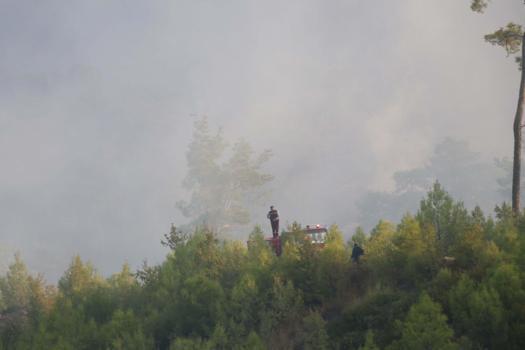 Muğla'nın 2 ilçesinde orman yangınlarına müdahale sürüyor (3)