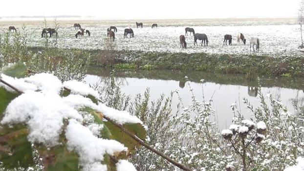 Ardahan beyaza büründü