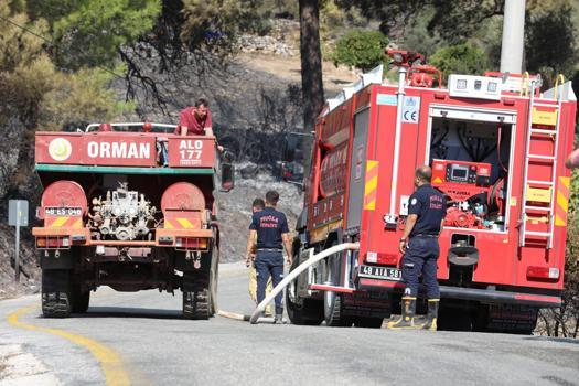 Muğla'daki orman yangını 4'üncü gününde (3)