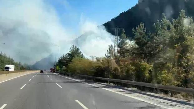 Mersin'de orman yangını