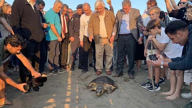 Tedavisi tamamlanan 3 deniz kaplumbağası ve yavruları denizle buluşturuldu