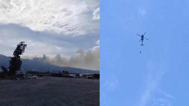 Hatay'da orman yangını