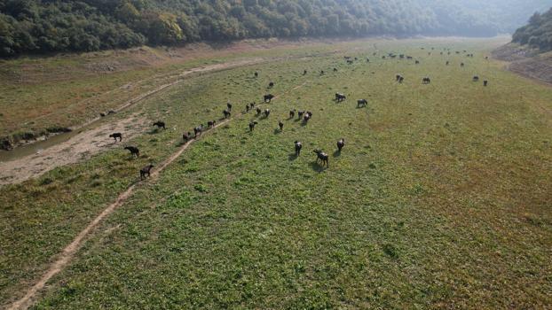 İstanbul'un barajları son 10 yılın en düşük yağışını aldı; doluluk oranı yüzde 30'a geriledi / Ek fotoğraflar