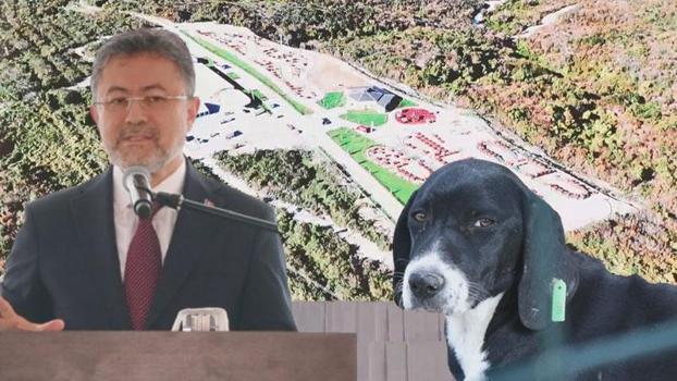 Tarım ve Orman Bakanı Yumaklı, 'Zeytin' isimli köpeği sahiplendi