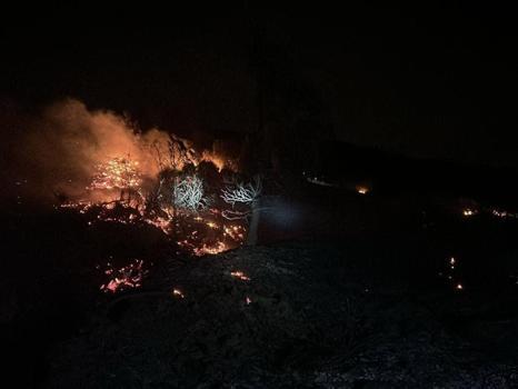 Hatay’daki orman yangınında 5 hektar alan tahrip oldu