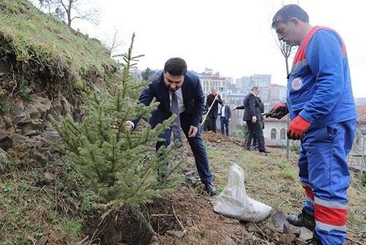 Kağıthane Belediyesi, son beş yılda 50 bin adet ağaç dikimi gerçekleştirdi