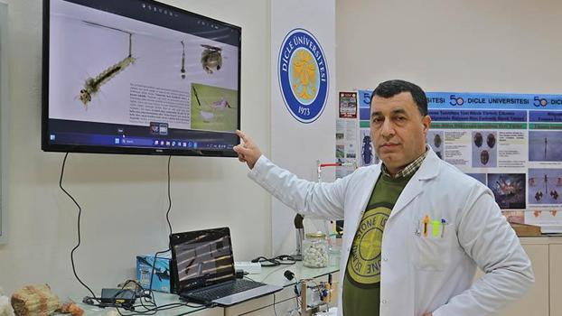 Prof. Dr. Satar: Sivrisineklerle mücadelede bölgenin ekolojik yapısı göz önüne alınmalı, sayıları artabilir