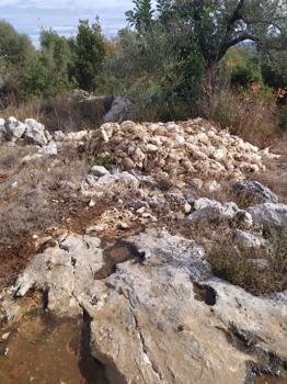 Tarsus'ta boş araziye bırakılmış yüzlerce ölü tavuk bulundu