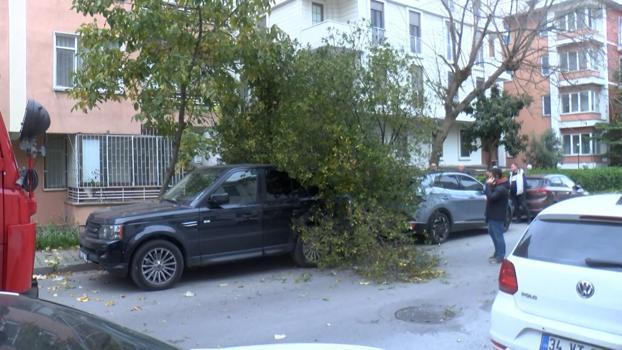 İstanbul- Bakırköy'de şiddetli rüzgarda 2 aracın üzerine ağaç devrildi