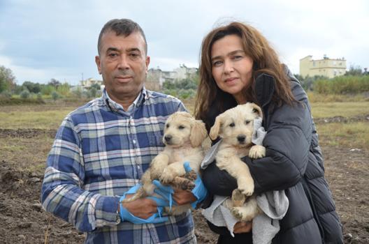 Öldürülen köpeğin bir yavrusu daha sağ bulundu