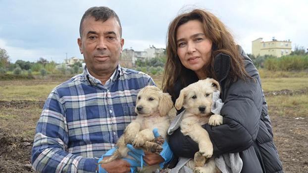 Öldürülen köpeğin bir yavrusu daha sağ bulundu