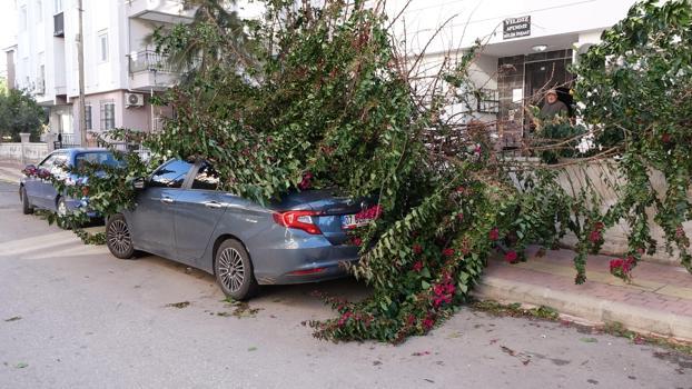 Antalya'da fırtına ağaçları devirdi, seraları yıktı / Ek fotoğraflar