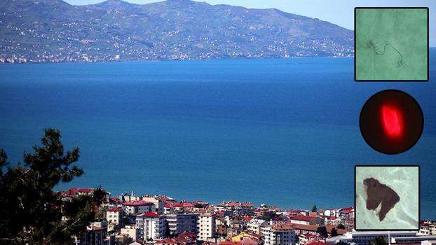 Karadeniz’de mikroplastik tehlikesinde ‘nehir’ etkisi