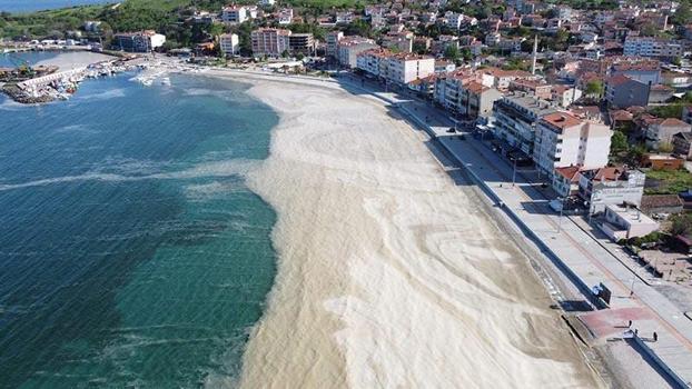 Prof. Dr. Tecer: Marmara'da müsilajın deniz yüzeyine çıkması muhtemel