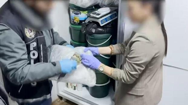 Turşu kutularına gizlenmiş 52 kilo skunk ele geçirildi