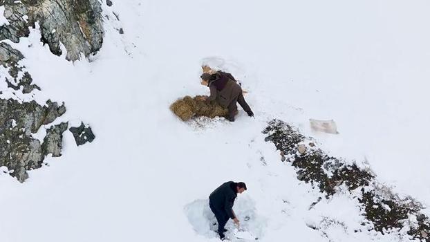 Erzincan'da yaban hayvanları için doğaya yem bırakıldı