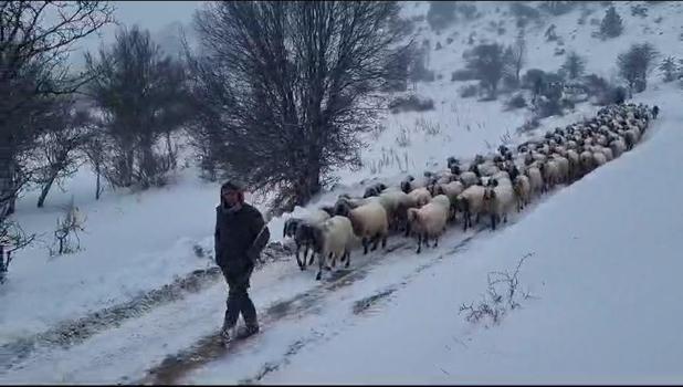 Karda mahsur kalan vatandaşların ve hayvanların imdadına büyükşehir koşuyor