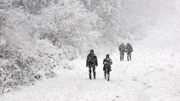 Van'ın 3 ilçesinde okullara 'kar' tatili