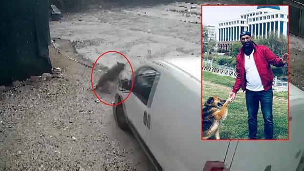 Otoparkta yatan köpeğini aracıyla ezen komşusundan şikayetçi oldu