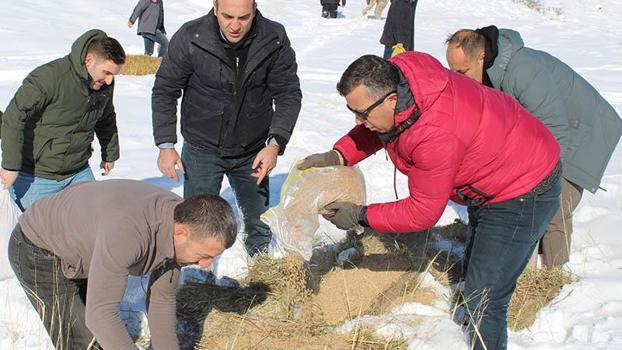 Erzurum'da yaban hayatı için doğaya yem bırakıldı