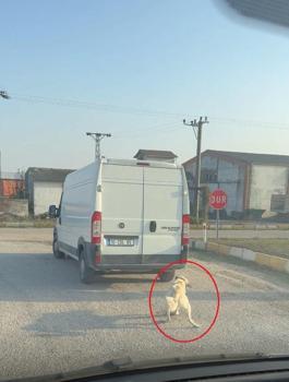 Köpeği minibüsün arkasına iple bağlayıp çekti; o anlar kamerada