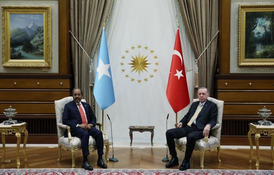 Cumhurbaşkanı Erdoğan, Somali Cumhurbaşkanı Mahmud ile görüştü