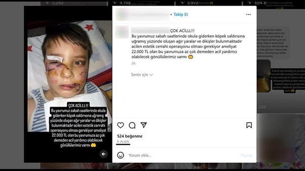 İnternette sahte hesaplarla sanal dilencilik; çocuk fotoğraflarını kullanarak para topluyorlar